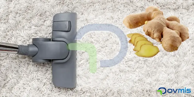 halidan-zencefil-lekesi-nasil-cikar