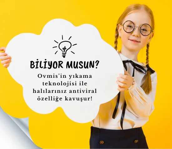 halı yıkama bingöl