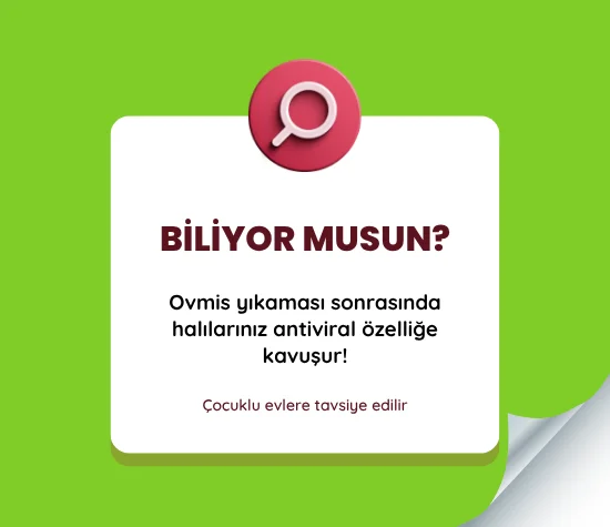 halı yıkama bitlis
