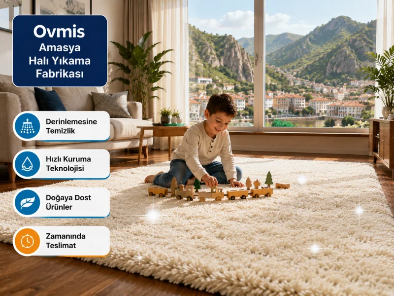 amasya hali yikama fabrikasi amasya halı yıkama fabrikası