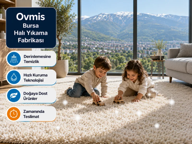 bursa hali yikama fabrikasi bursa halı yıkama fabrikası